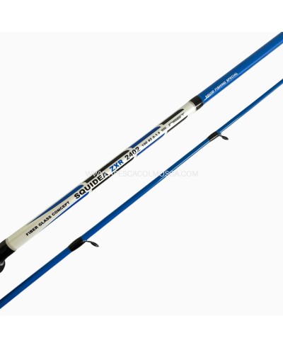 Canna Sunset Squidea ZXR