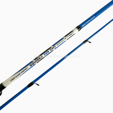 Canna Sunset Squidea ZXR