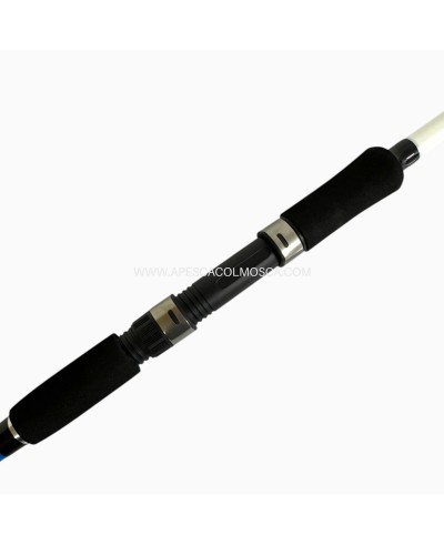 Canna Sunset Squidea ZXR