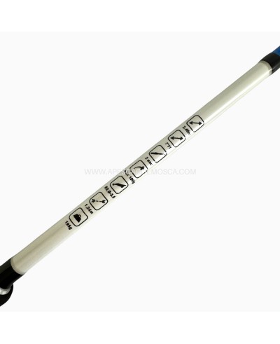 Canna Sunset Squidea ZXR