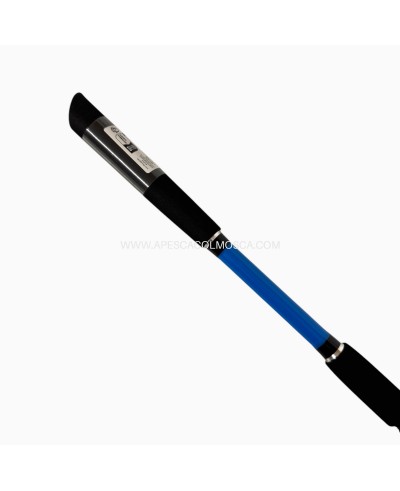 Canna Sunset Squidea ZXR