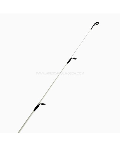 Canna Sunset Squidea ZXR