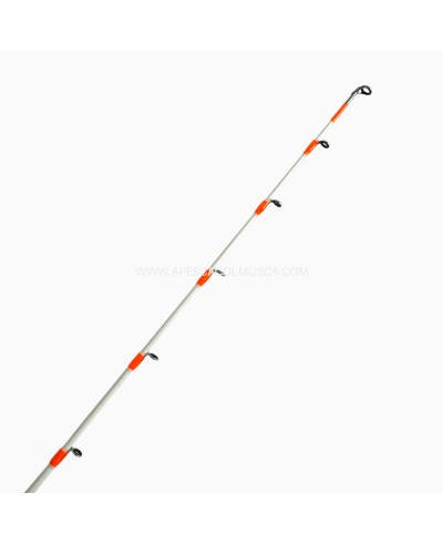 Canna Sunset Tataki Spin SW20 2202 Squid