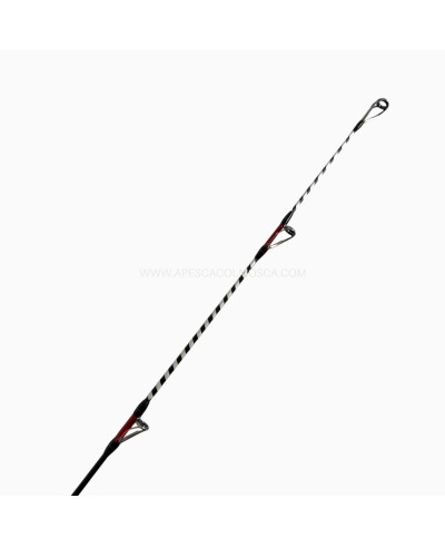 Canna Yuki Neox DSC Kenta - 4.50 MT