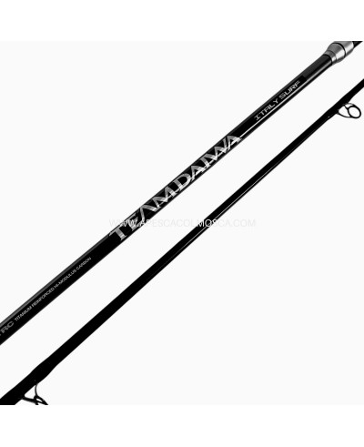 Canna usata Daiwa Team Daiwa Italy Surf 100-250G