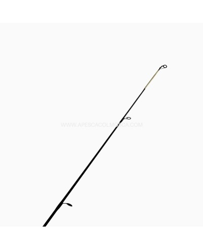 Canna usata Daiwa Team Daiwa Italy Surf 100-250G