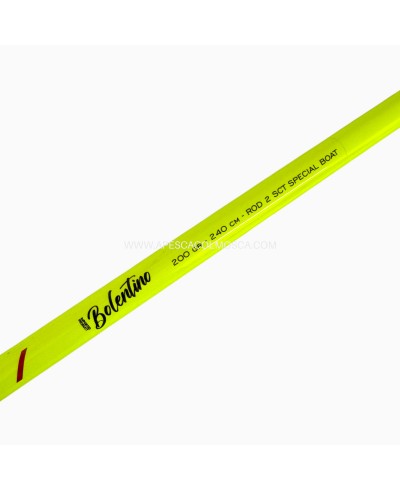 Canna Kolpo Maxima Bolentino