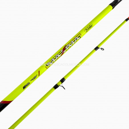 Canna Kolpo Maxima Bolentino