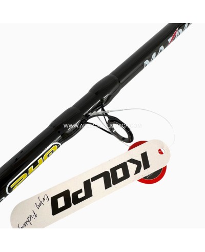 Canna Kolpo Maxima Bolentino