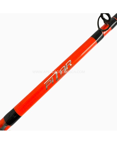 Canna Sunset Pilar TS