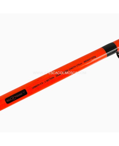 Canna Sunset Pilar TS