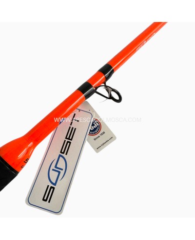 Canna Sunset Pilar TS