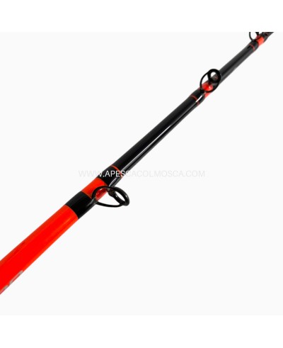 Canna Sunset Pilar TS