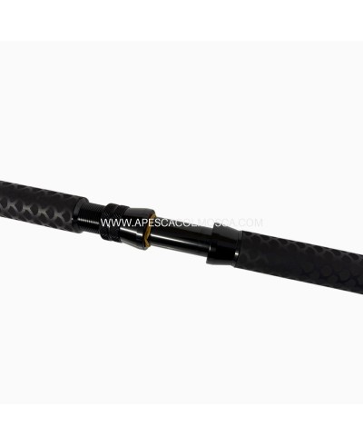 Canna Sunset Pilar TS