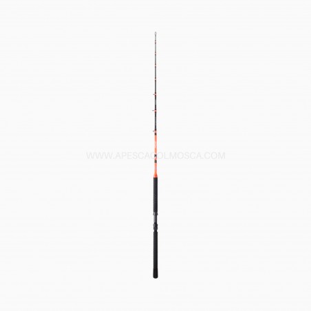 Canna Sunset Pilar TS