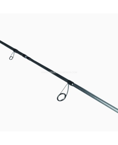 Canna Daiwa 25 Exceler Spinning