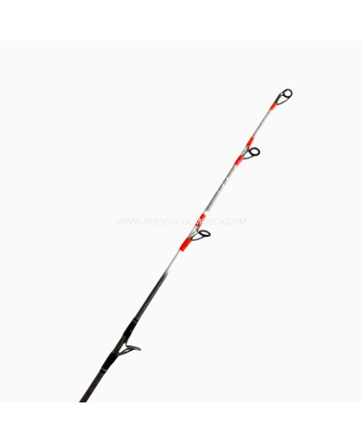 Canna usata Italcanna Tesla GMP