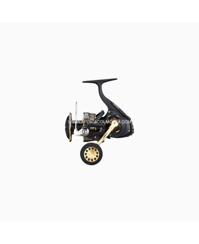 Mulinello Daiwa 23 BG SW