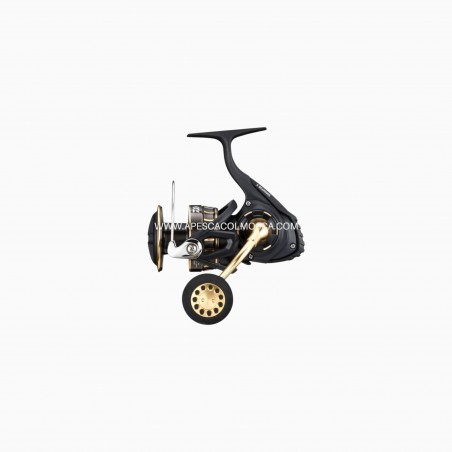 Mulinello Daiwa 23 BG SW