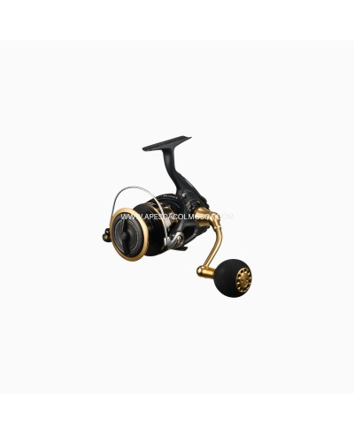 Mulinello Daiwa 23 BG SW