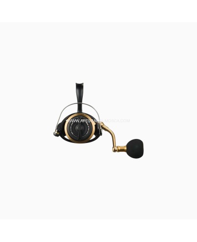 Mulinello Daiwa 23 BG SW