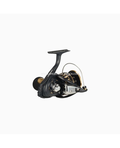 Mulinello Daiwa 23 BG SW